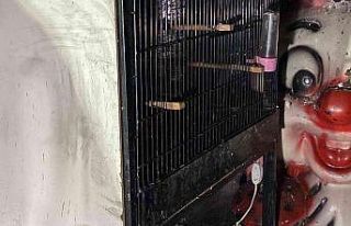 Bayrampaşa’da pet shopta yangın: Çok sayıda...