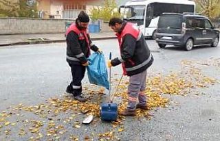 Belediye ekiplerinden sonbahar temizliği