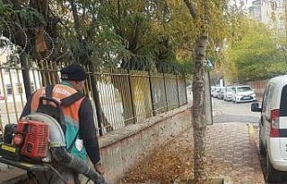 Belediye ekiplerinden yaprak üfleme makinesi ile...