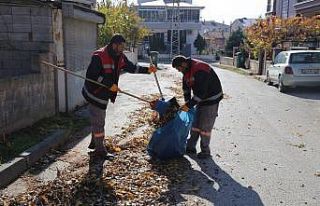 Belediyeden sonbahar temizliği