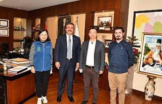 Besicilere destek