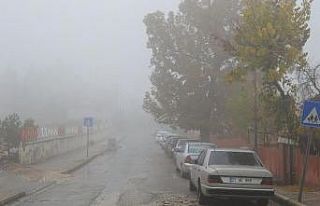 Besni’de yoğun sis etkili oldu