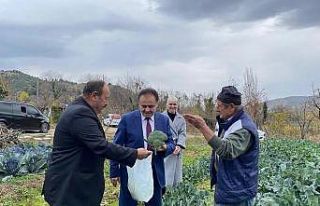 Bilecik’te 2 ay önce dikilen sebze fidelerinden...