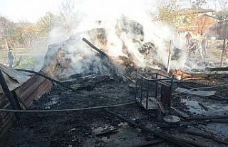 Bilecik’te samanlık yangının 600 balya saman...