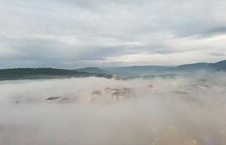 Bilecik’te sis etkili oldu