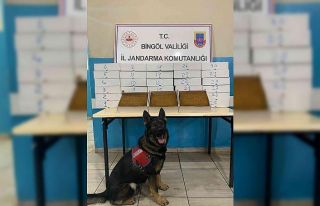 Bingöl’de 33 kilo kıyılmış tütün ve kaçak...
