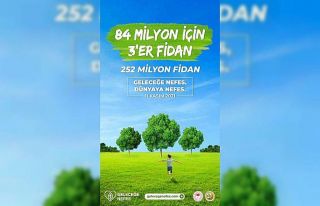 Bingöl’de 70 dönüme 5 bin fidan dikilecek