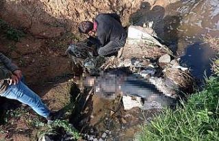 Bir haftadır kayıp olan yaşlı adamın dere kenarında...