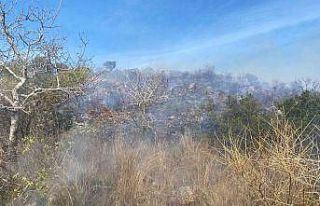 Bodrum’da makilik yangını