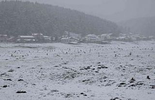 Bolu’da yoğun kar yağışı