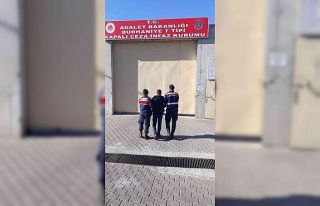 Burhaniye’de kanun kaçağını jandarma yakaladı