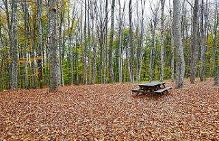 Bursa, Kasım’da başka güzel