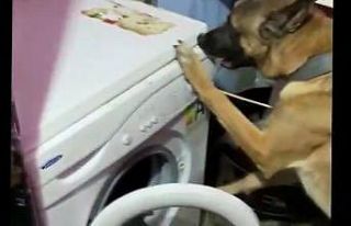 Bursa’da 100 bin kişiyi zehirleyecek miktarda uyuşturucu...