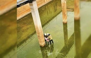 Bursa’da arıtma tesisinde mahsur kalan kaz kurtarıldı