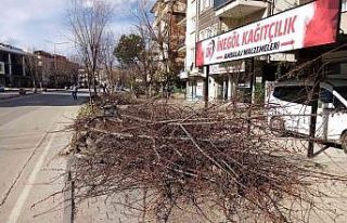 Bursa’da şiddetli lodos hayatı felç etmeye devam...
