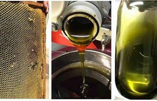 BUÜ’lü akademisyenler tamamen doğal arı yemi...