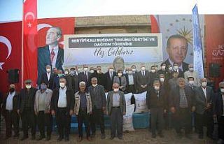 Büyükşehir, Araban çiftçisine 200 ton sertifikalı...