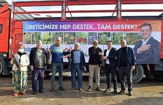 Büyükşehir Belediyesinin ceviz fidanı dağıtımı...