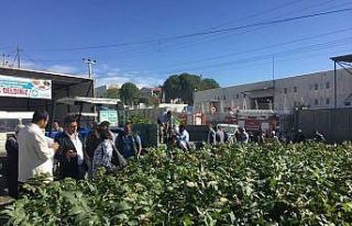 Büyükşehirden kırsala 100 bin adet fidan desteği