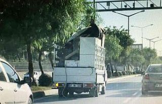 Buzdolabı üzerinde tehlikeli yolculuk