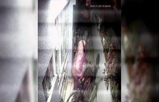 Çaldığı bisiklete binerek uzaklaştı