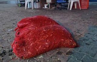 Çaldığı zeytinleri satarken yakalandı