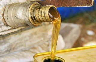 Çam balına TSE standardı