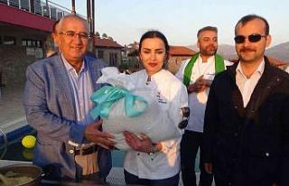 Çameli’nin doğal ürünleri damak çatlatan lezzetlere...