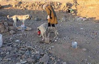 Can dostlar 2 çocuk annesi Şükran’a emanet