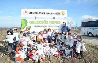 Çanakkale’de 43 bin fidan toprakla buluştu