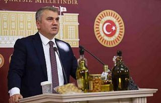 Canbey, TBMM’de Balıkesir Zeytinyağını Anlattı