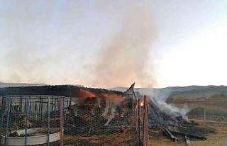 Çan’da ahır yangını