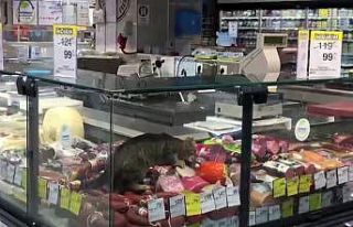 CarrefourSA’da şok eden görüntü: Reyona giren...