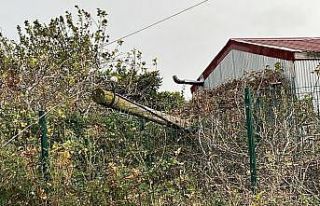 Çatının uçma anı kamerada