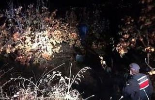Cennet elması hırsızları ağaç dalında yakalandı