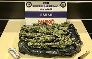 Çeşme’de ormanlık alanda çadır kurup uyuşturucu...