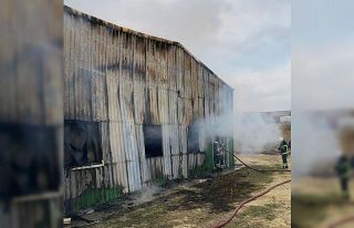 Ceviz işletme tesisi cayır cayır yandı