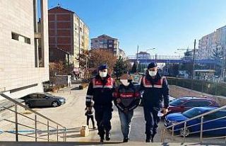 Cezaevinden çıktı, hırsızlık yaparken yakalandı