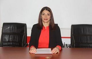 CHP Erzincan Kadın Kollarından Kadına Yönelik...