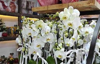 Çiçekçiler Öğretmenler Günü’ne hazır