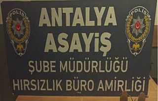 Çilingirle girdikleri evden kediyi bile çaldılar