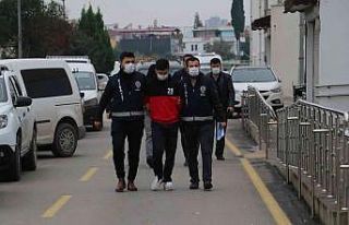 Cinayet zanlısı tutuklandı