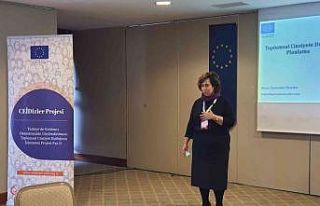 Cinsiyet eşitliğin izlenmesi projesinde atölye...