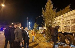Cizre belediyesi peyzaj ve ağaçlandırma çalışmalarını...