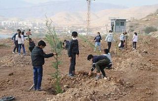 Cizre’de öğrenciler emniyet bahçesine fidan dikti