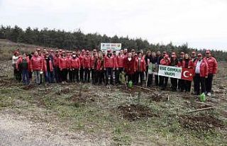 Coca-Cola Hatıra Ormanları’nda 50 bin fidan yeşerecek