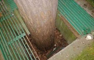 Çukura düşen 3.5 yaşındaki çocuk yaralandı