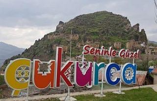 Çukurca Kaymakamlığından açıklama