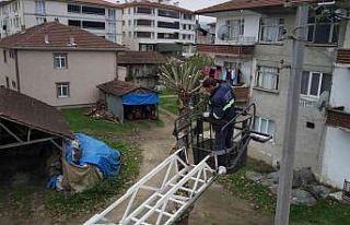 Cumayeri kışa hazırlanıyor