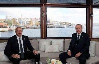 Cumhurbaşkanı Erdoğan ile konsey üyesi liderler...